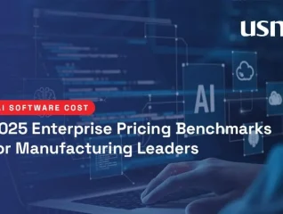 AI-Software-Cost-USA