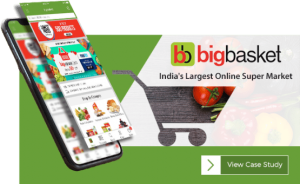 big basket 2 555x340 1 1